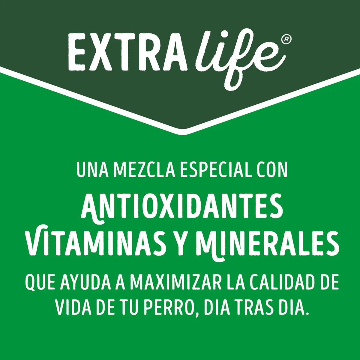 DOG CHOW - Dog Chow Longevidad Croquetas para Perros 8 kg