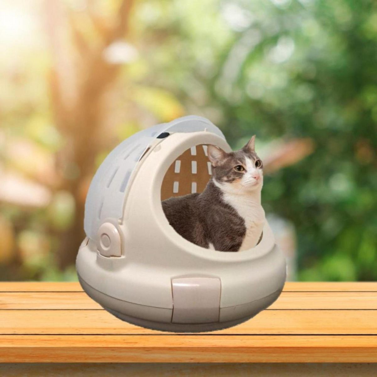 COOL CAT - Cama Transportadora para Gatos Diseño Cápsula