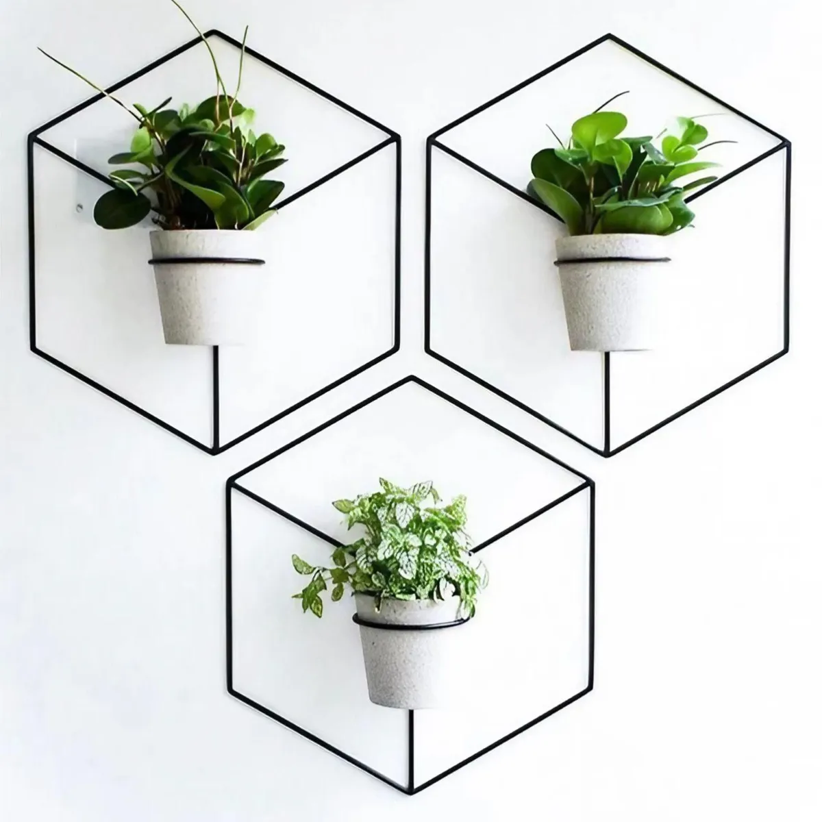 GENERICO - Portamacetas para Pared Hexagonal 14cm Metal