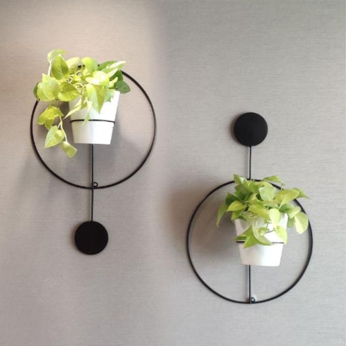 GENERICO - Portamacetas para Pared Circular 14cm