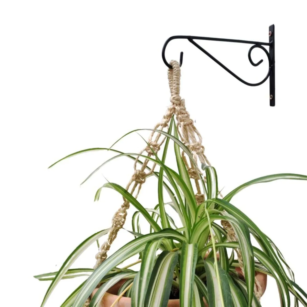 GENERICO - Gancho Colgante para Maceta 20cm Metal