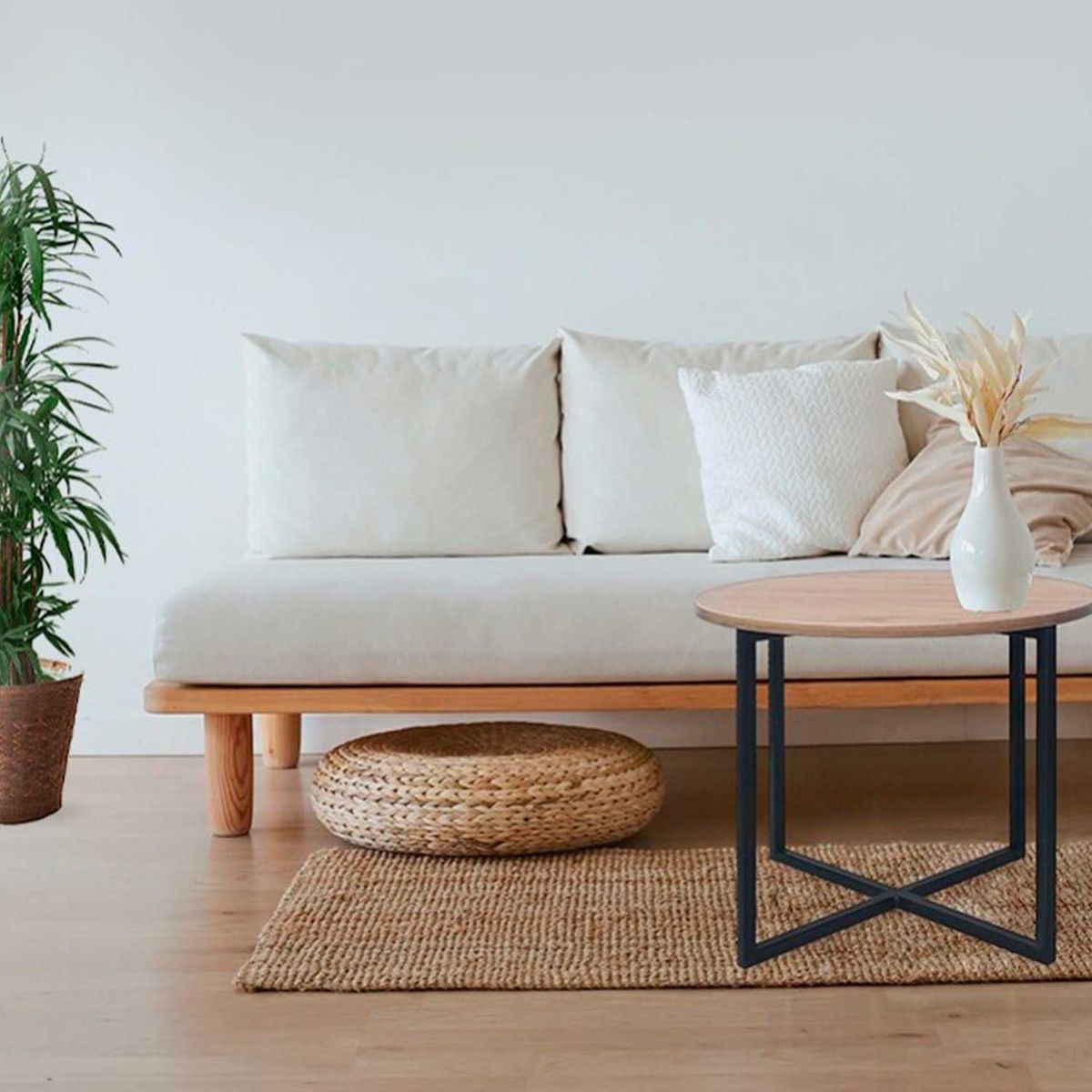 ZIYAZ - Mea de Centro Rovere