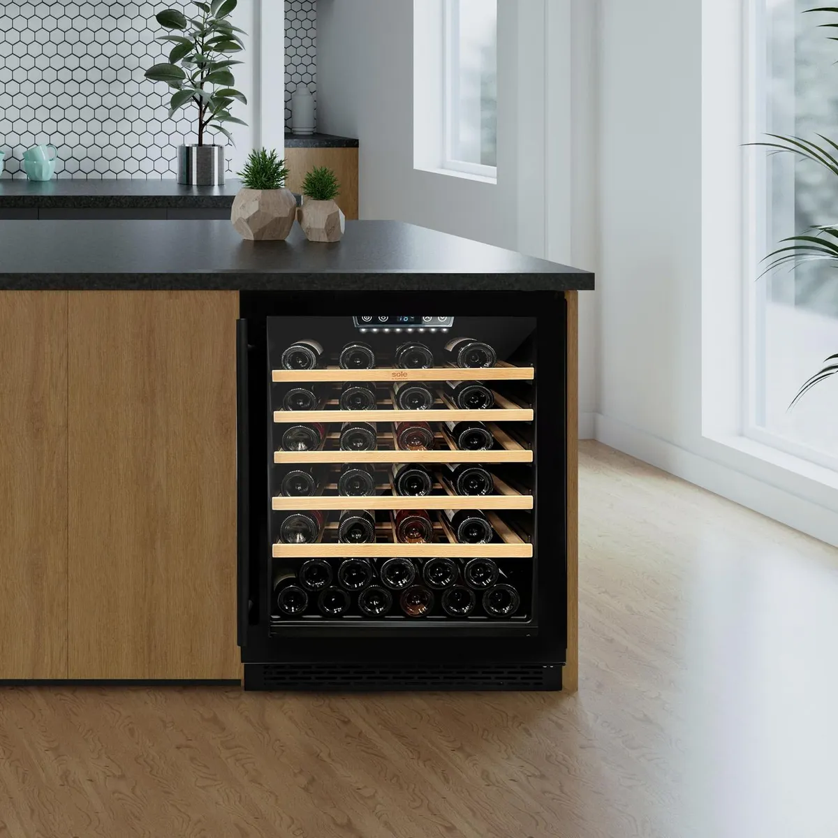 SCOLLECTION - Cava de Vino Negro 53 Botellas