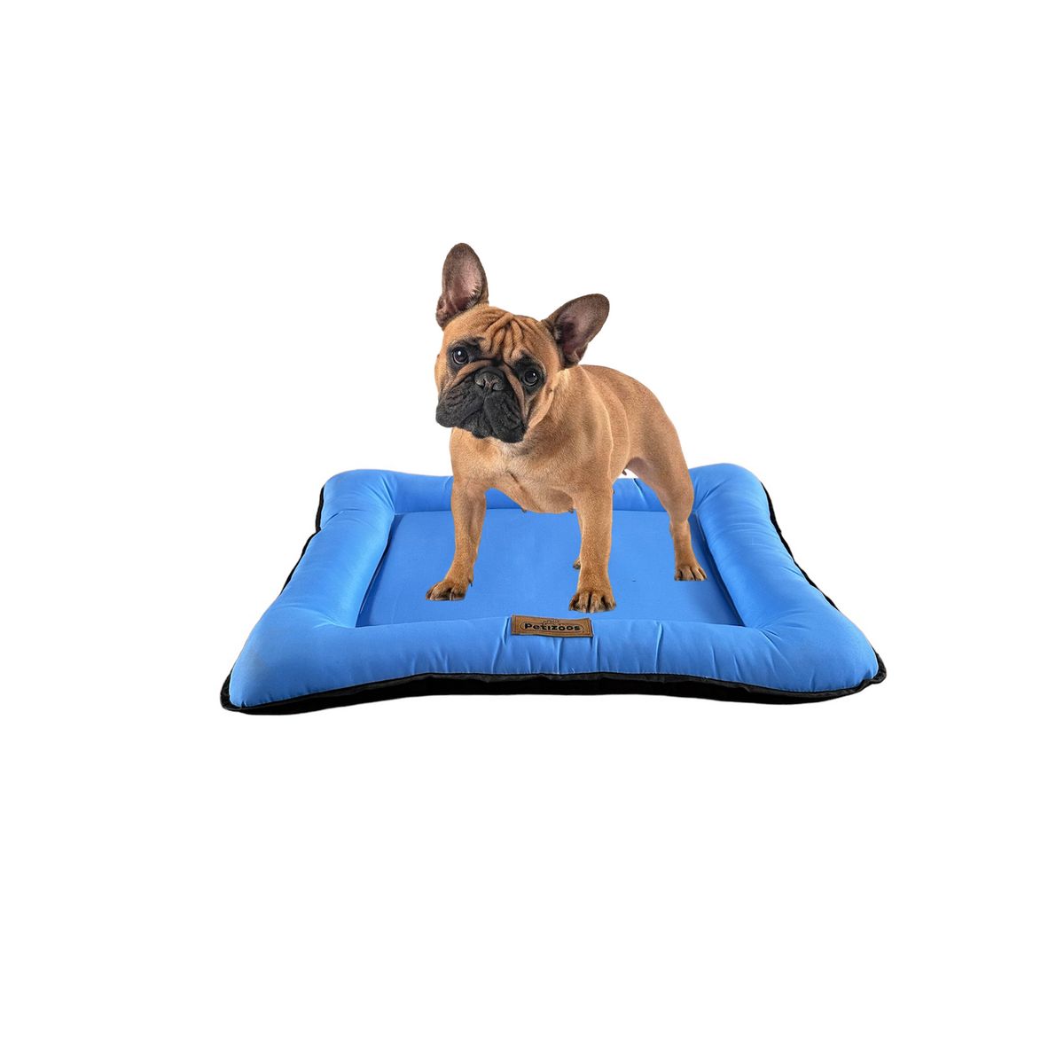 PETIZOOS - Colchoneta para Perro Impermeable Talla M Celeste