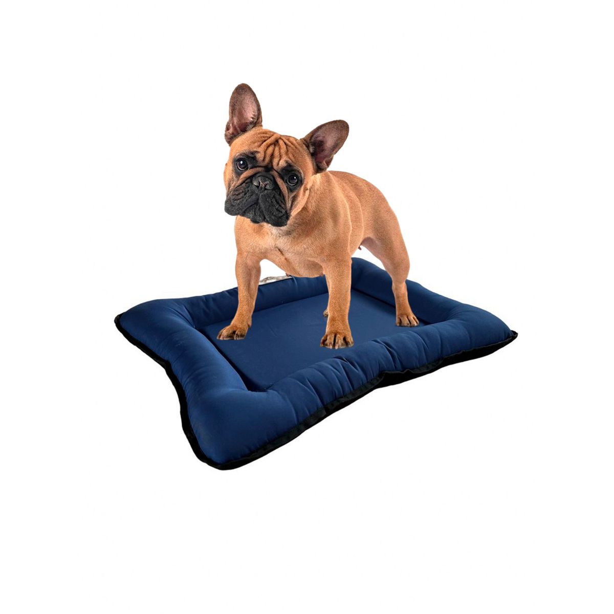 PETIZOOS - Colchoneta de Verano para Perro Talla M Azul