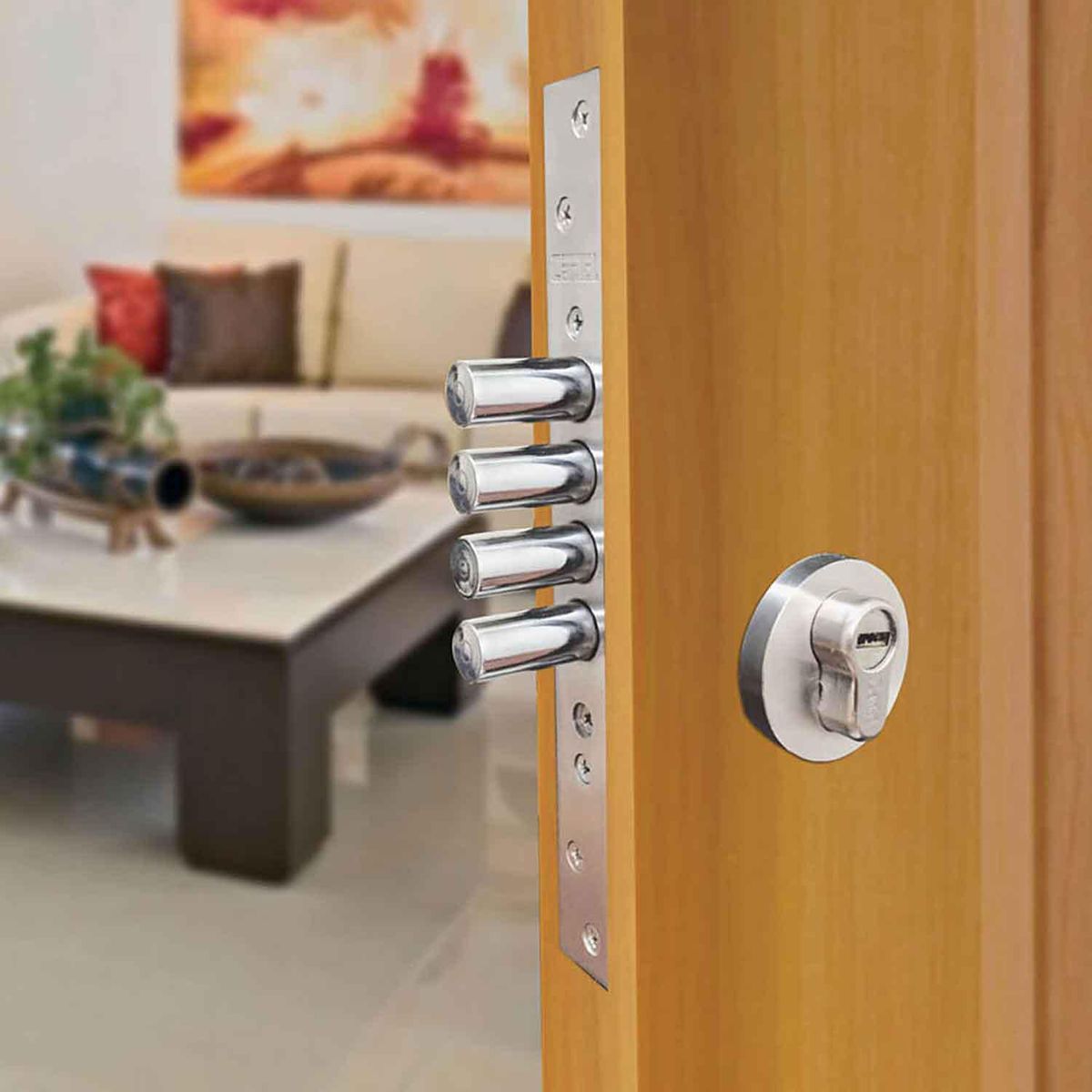 CANTOL - Cerradura de Embutir Acero Inox Llave Mariposa