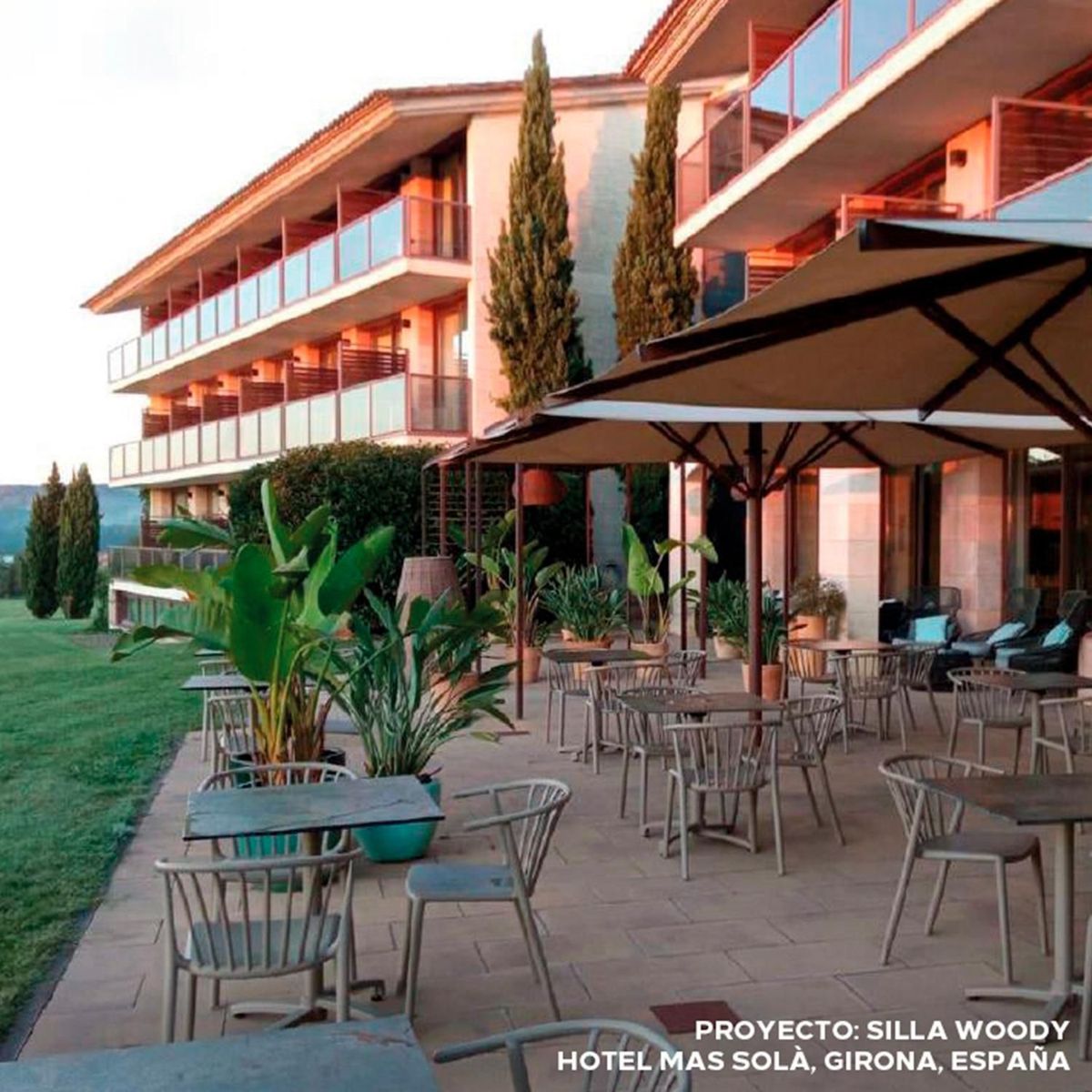 ZIYAZ - Silla de Comedor Woody Chocolate