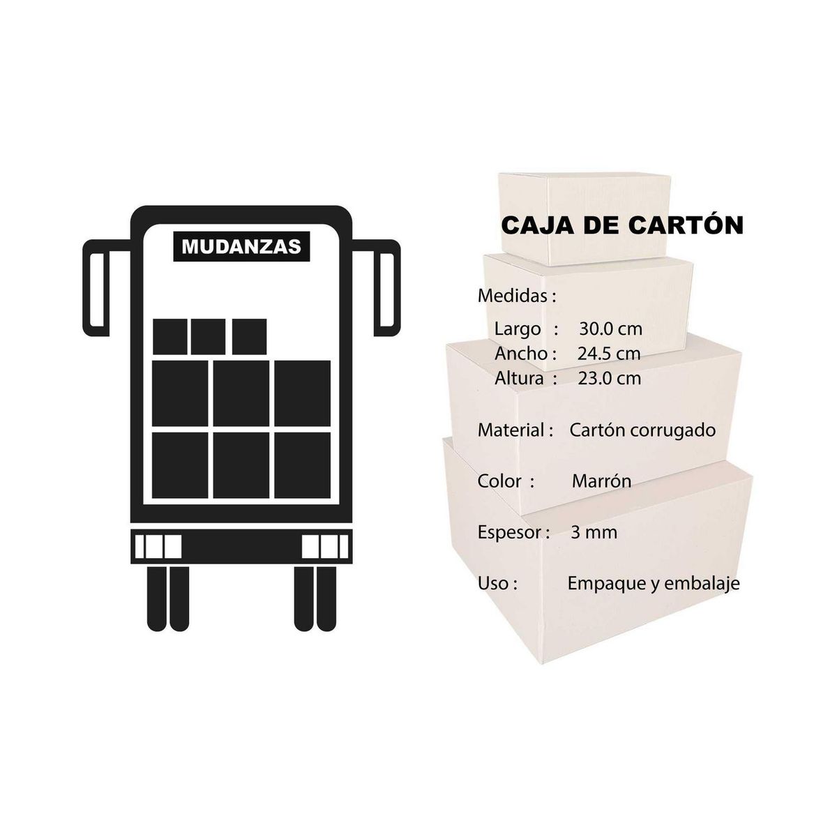  - Caja Básica 30X24.5X23CM SOD