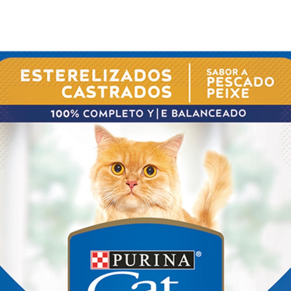 CAT CHOW - Cat Chow Pouch Sabor a Pescado 85gr