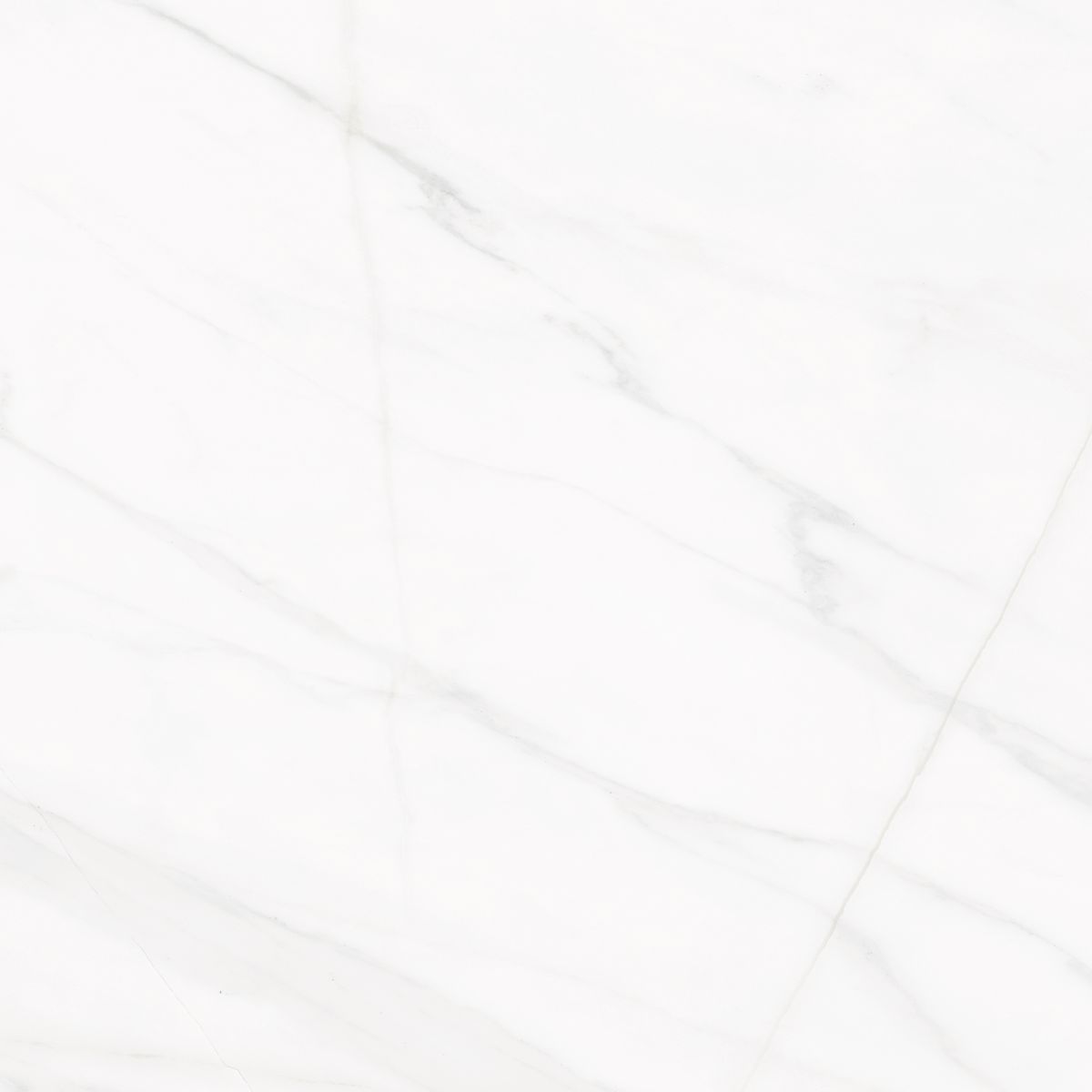 GALA - Cerámica Blanco Lyon 60x60 Marmoladas Alto brillo 1.44 m2