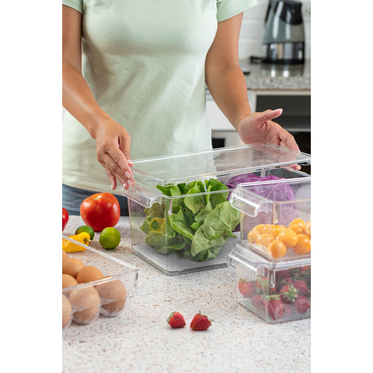 XIMESA - Caja Organizadora con Tapa 5.5lt