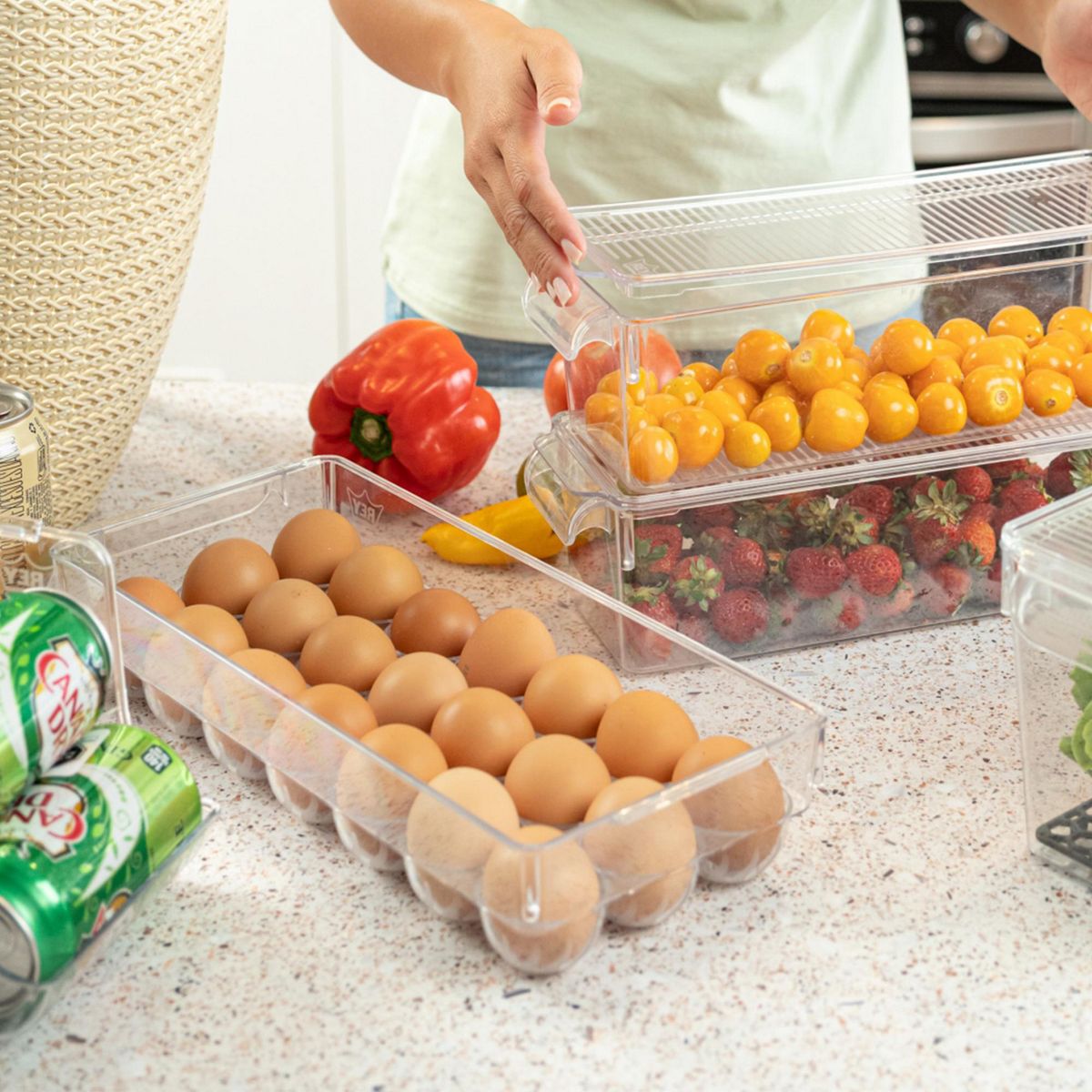 XIMESA - Caja Organizadora con Tapa 3lt