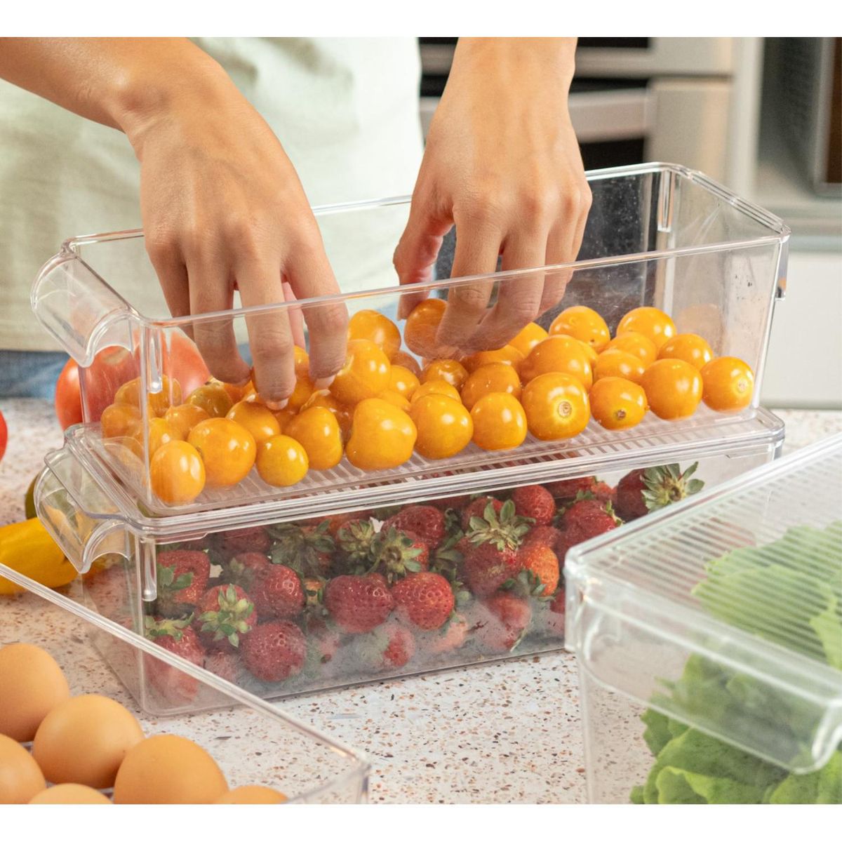 XIMESA - Caja Organizadora con Tapa 4.7L