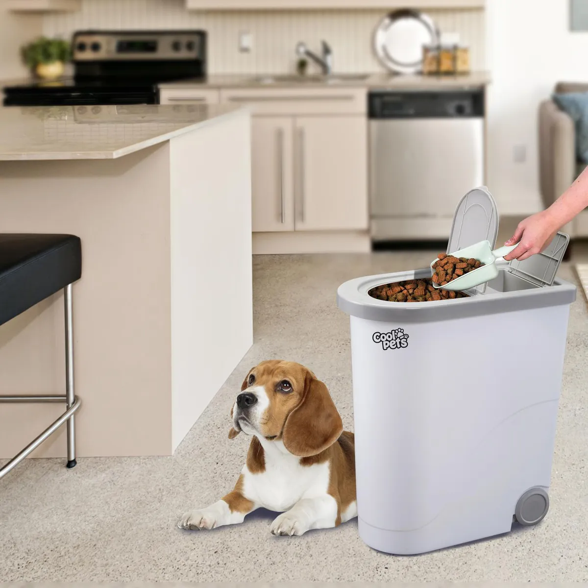 COOL PETS - Dispensador de Comida de Mascotas