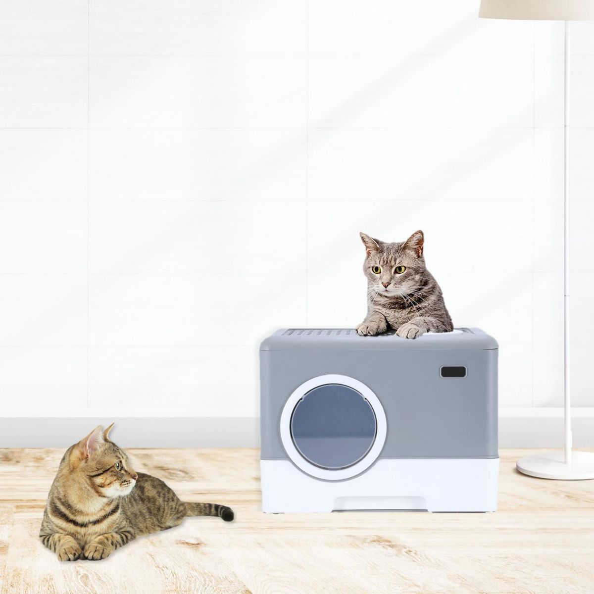 COOL CAT - Arenero Gris con Puerta para Gatos