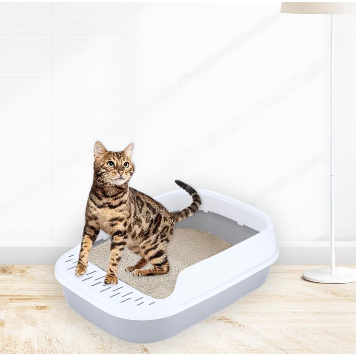 COOL CAT - Arenero en Bandeja para Gatos