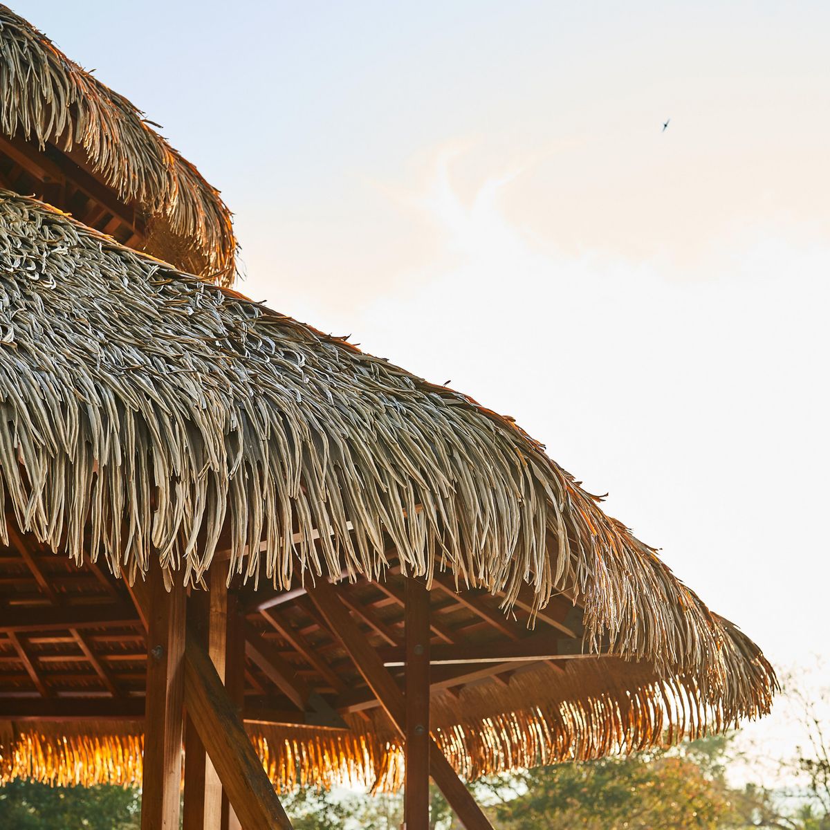  - Hoja Rioha De Palma Sintentica Para Techos Palmex