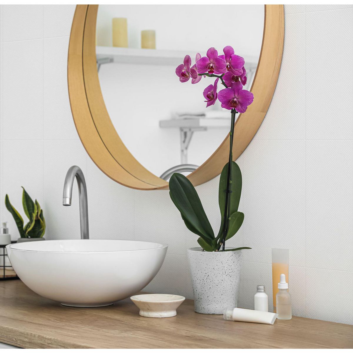 SAN LORENZO - Ceramica Blanco Decorado 27x45cm 2.07m2