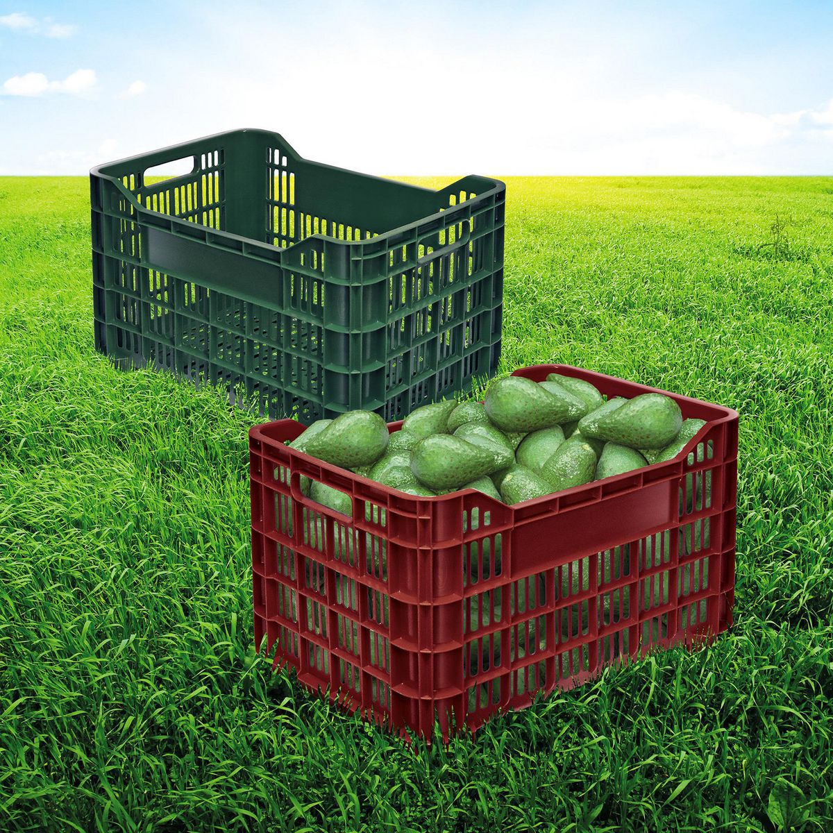 POLINPLAST - Caja Cosechera premium