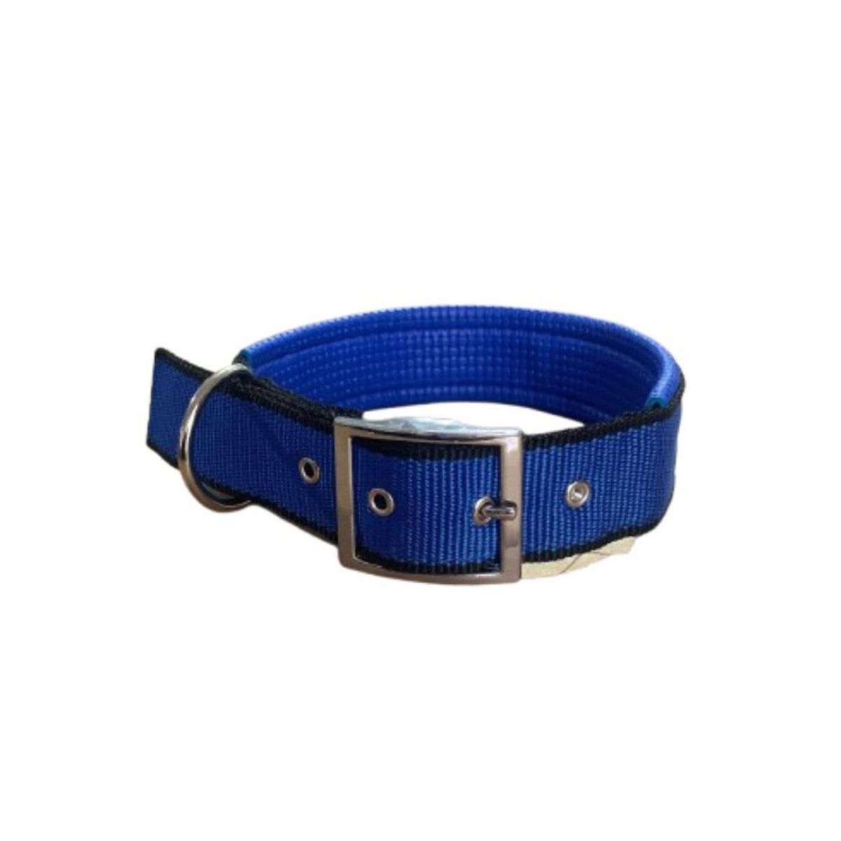 ACCECAN - Collar para Mascota Azul Talla XL