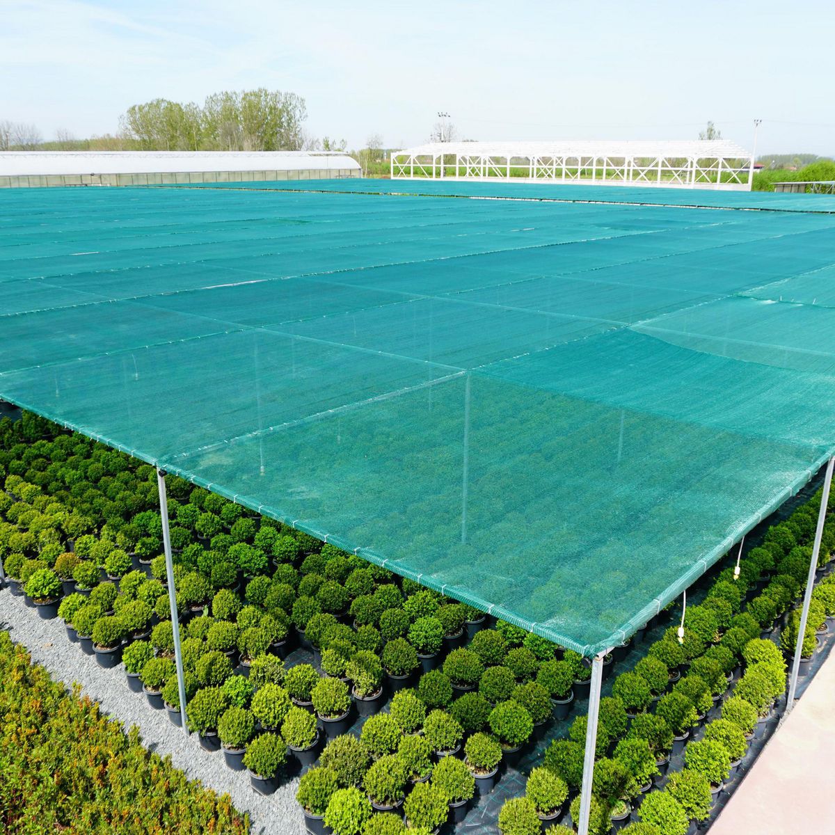 FIBRAFIL - Rollo Malla Raschel 65% Verde 4.20m x 100m