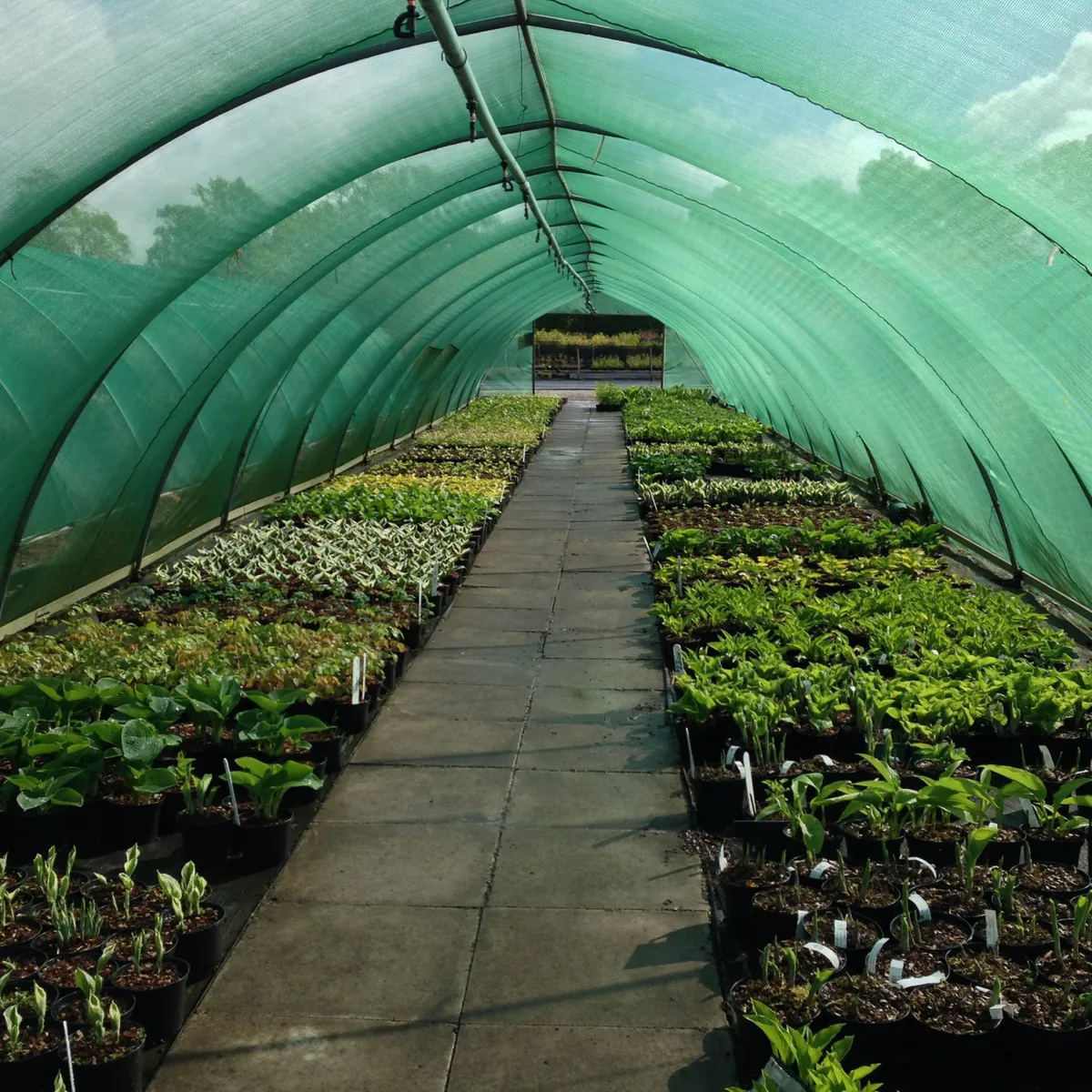 FIBRAFIL - Rollo Malla Raschel 95% Negro/Verde 4.20m x 100m