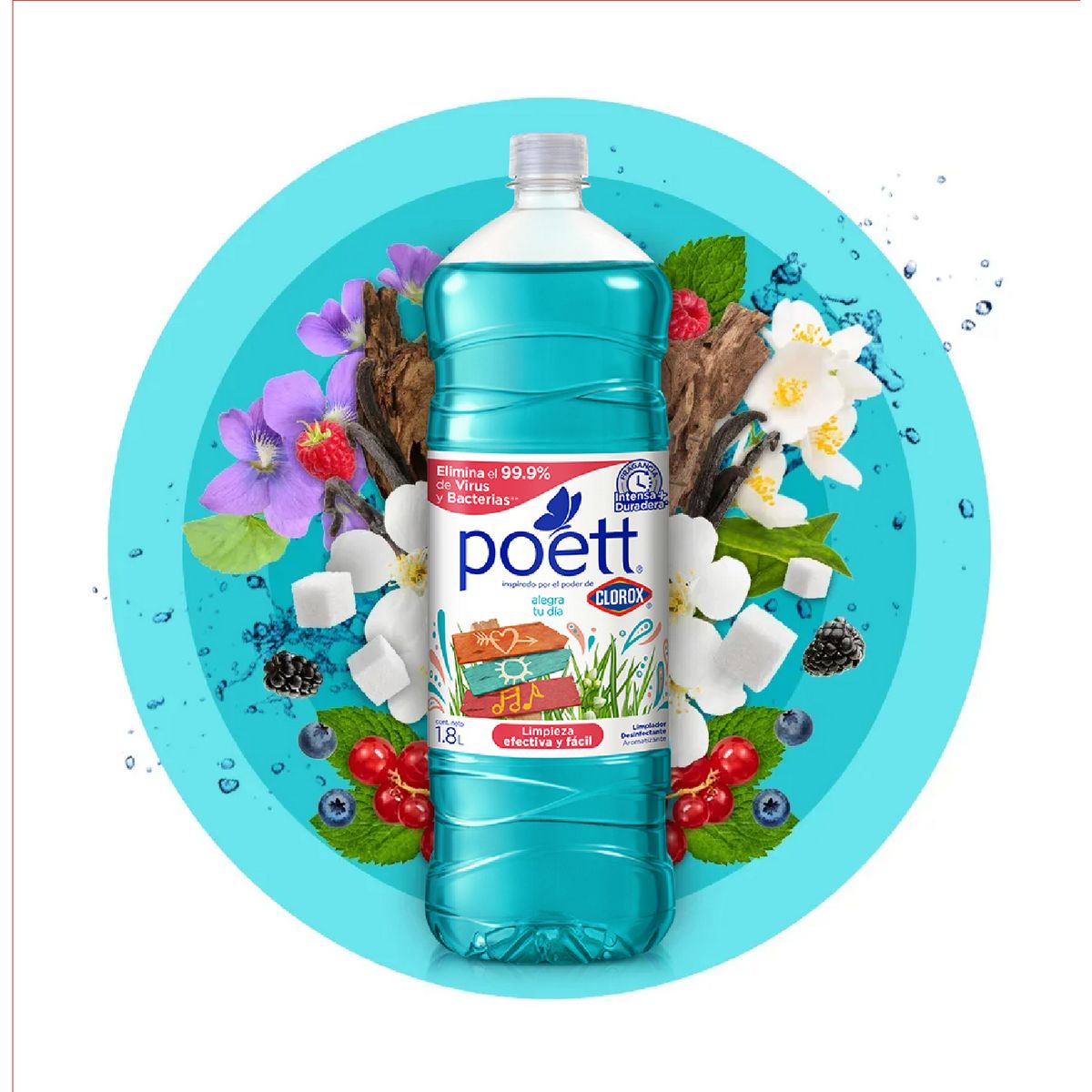 POETT - Poett Alegra Tu Día 4.5L