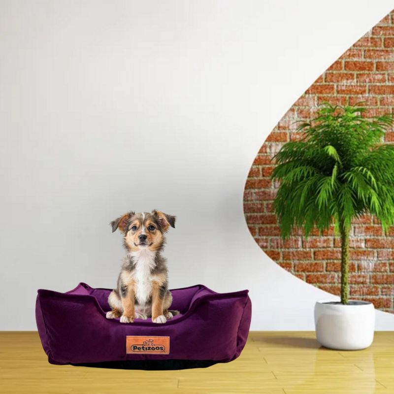 PETIZOOS - Cama Cuadrada Lila T-M Premium