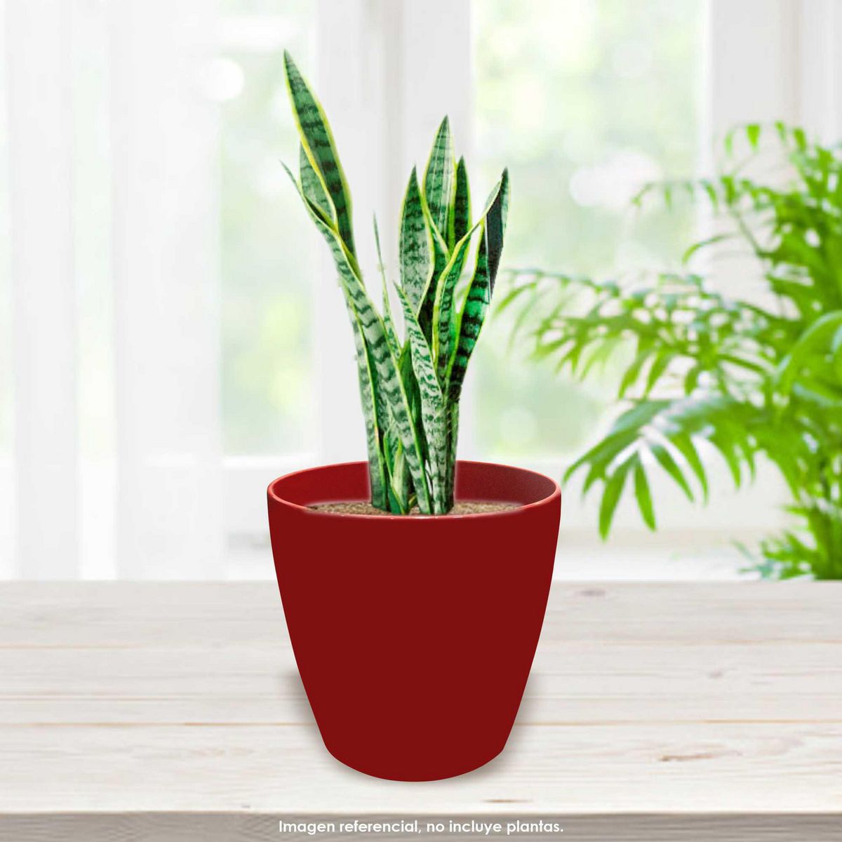 CUBA&SPA - Macetero Resina 42x44.5x33cm