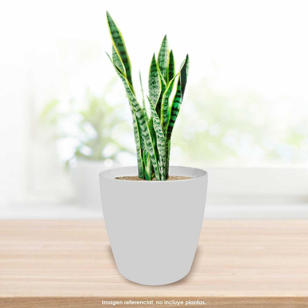 CUBA&SPA - Macetero Resina 42x44.5x33cm