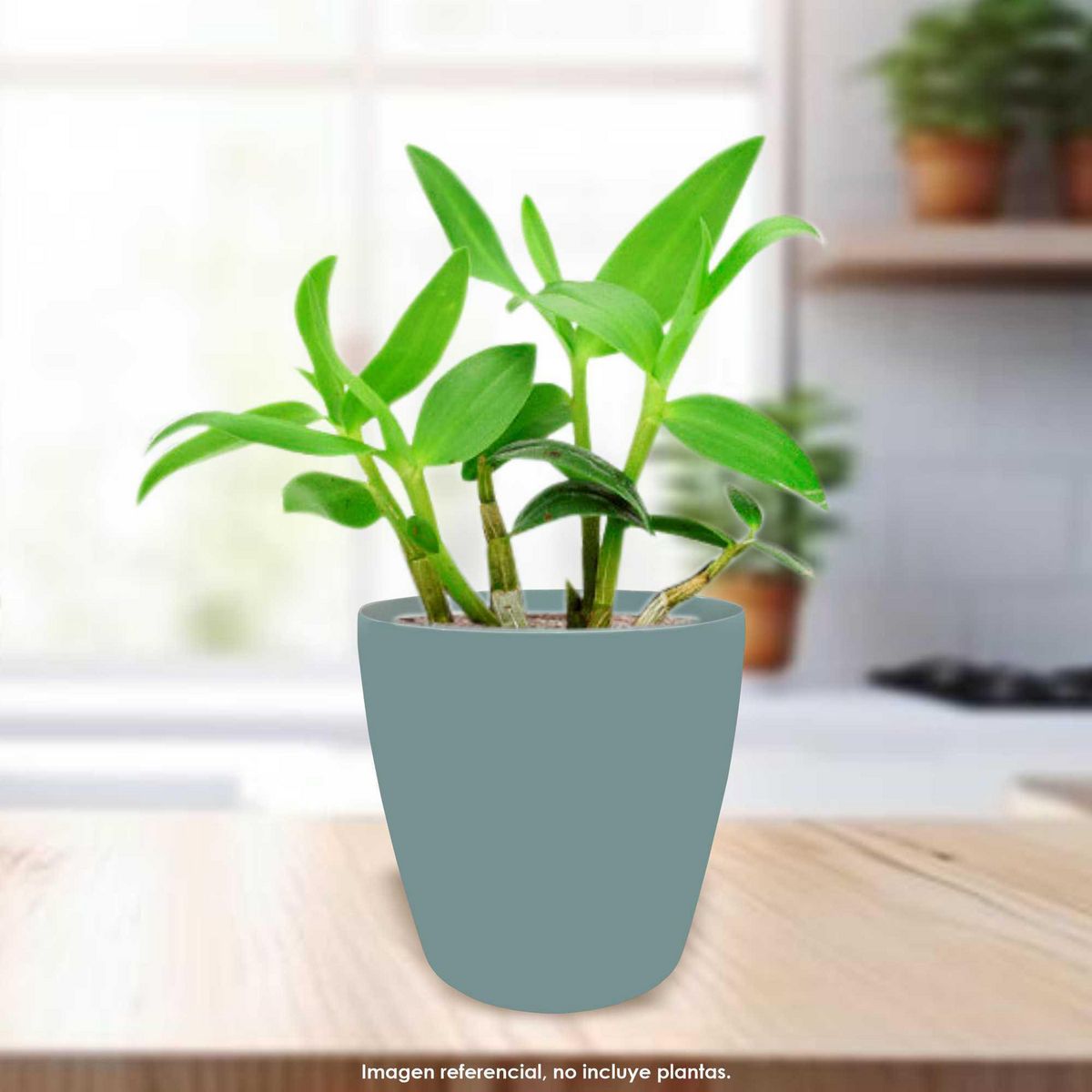 CUBA&SPA - Macetero Resina 42x44.5x33cm