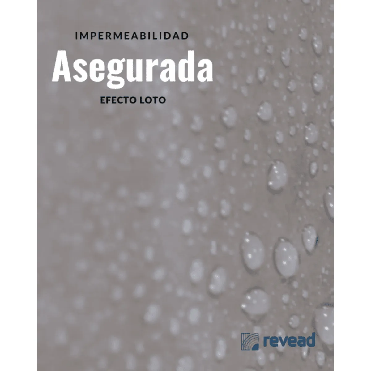  - Seal Siloxánico Barniz para Microcemento 1GL