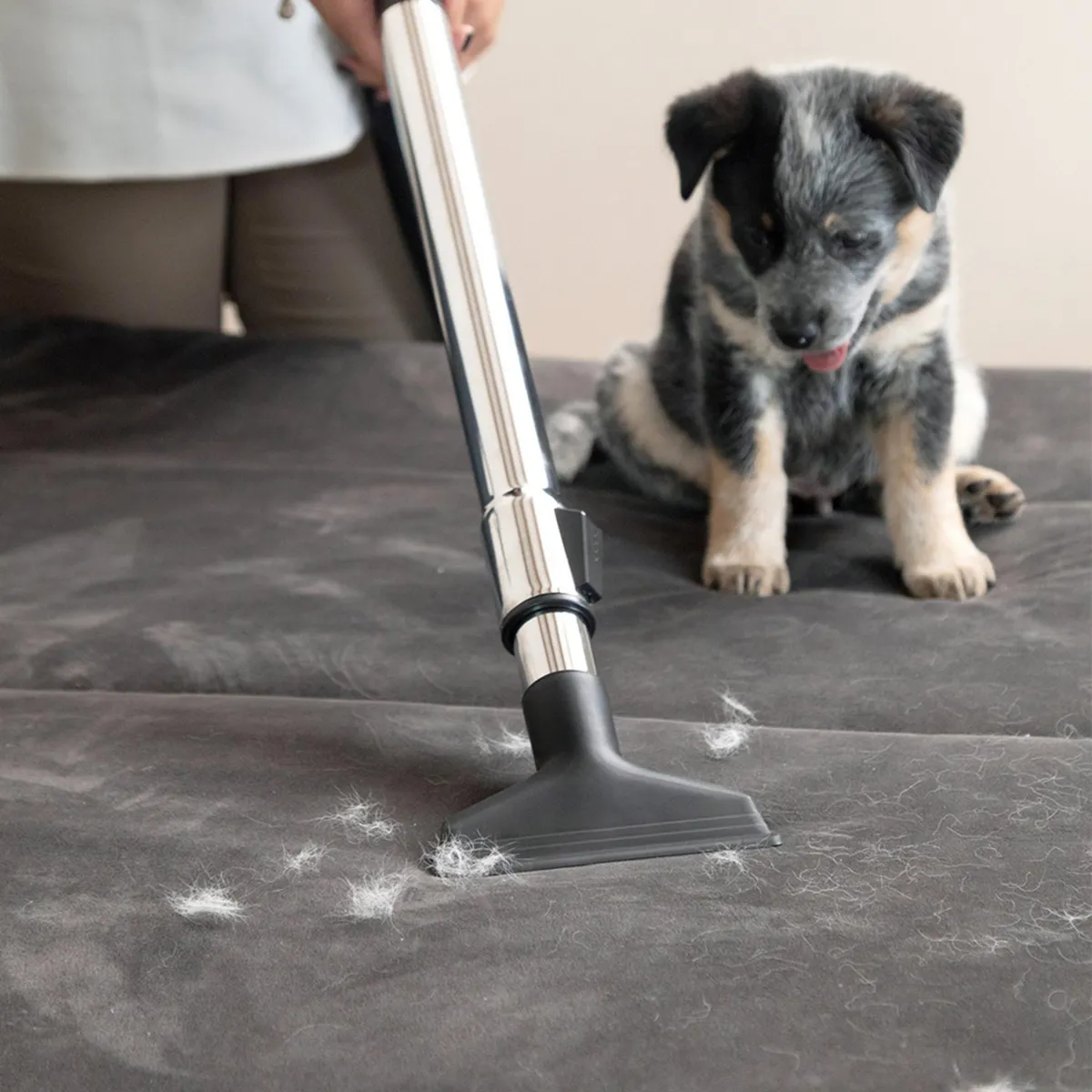 KARCHER - Aspiradora VCL 3 Cyclonic