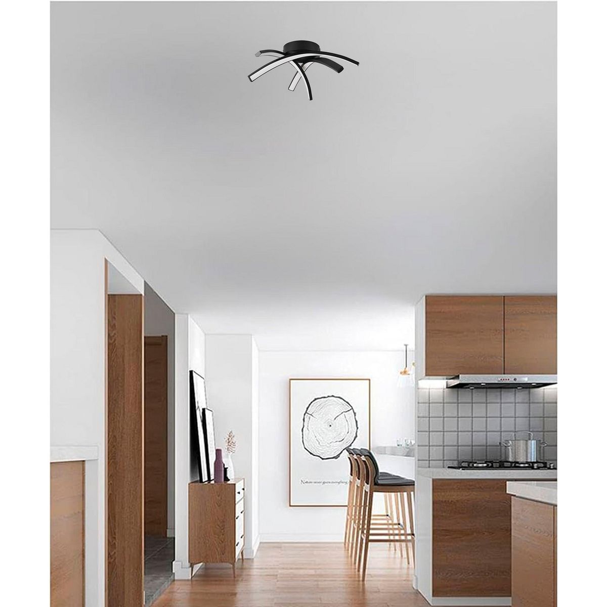 EGLO - Lámpara de Techo Destro 1X11W