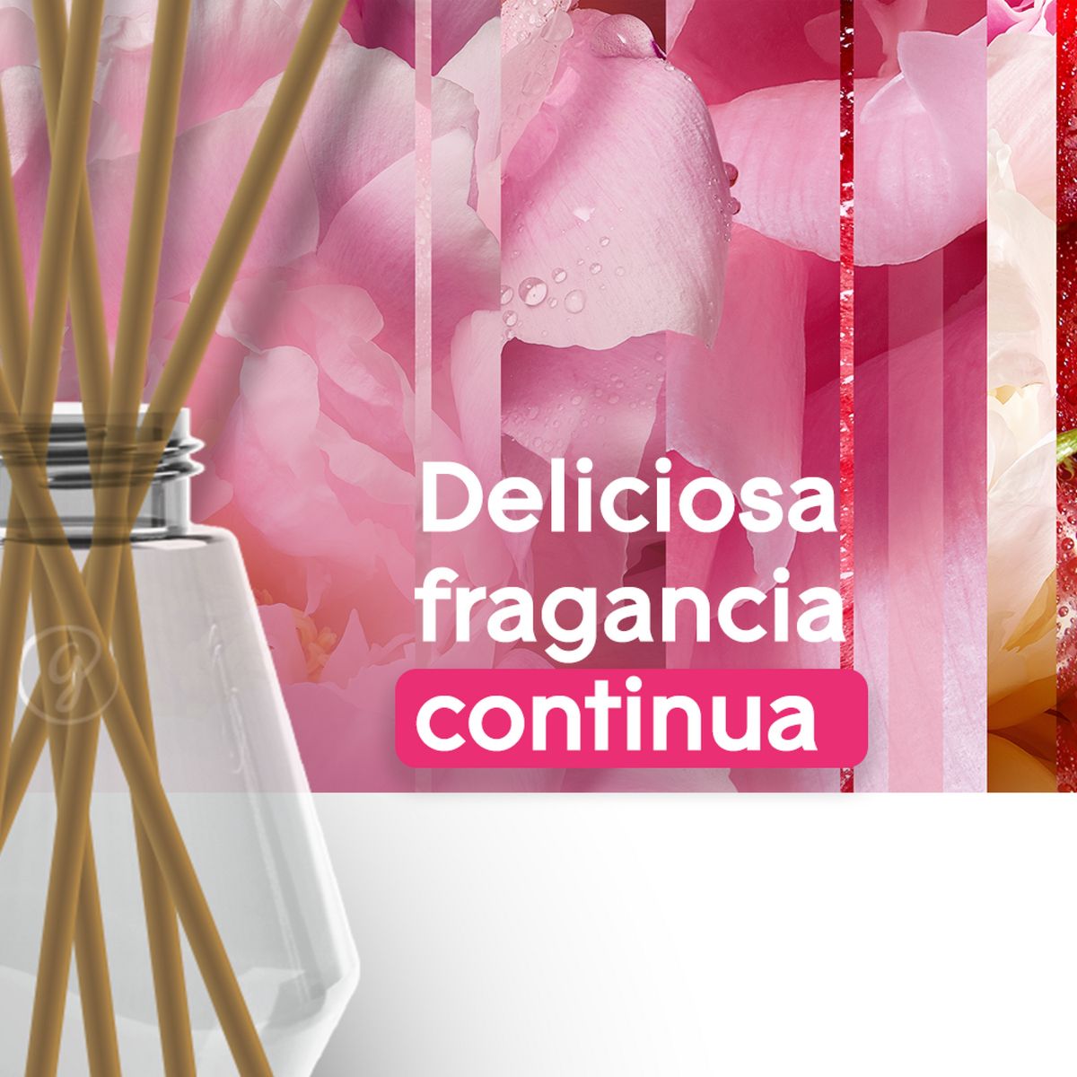 GLADE - Glade Alegría Floral y Frutos Rojos 100ml.