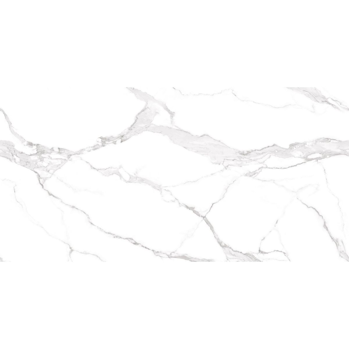  - Gres Calacatta 60 x 120