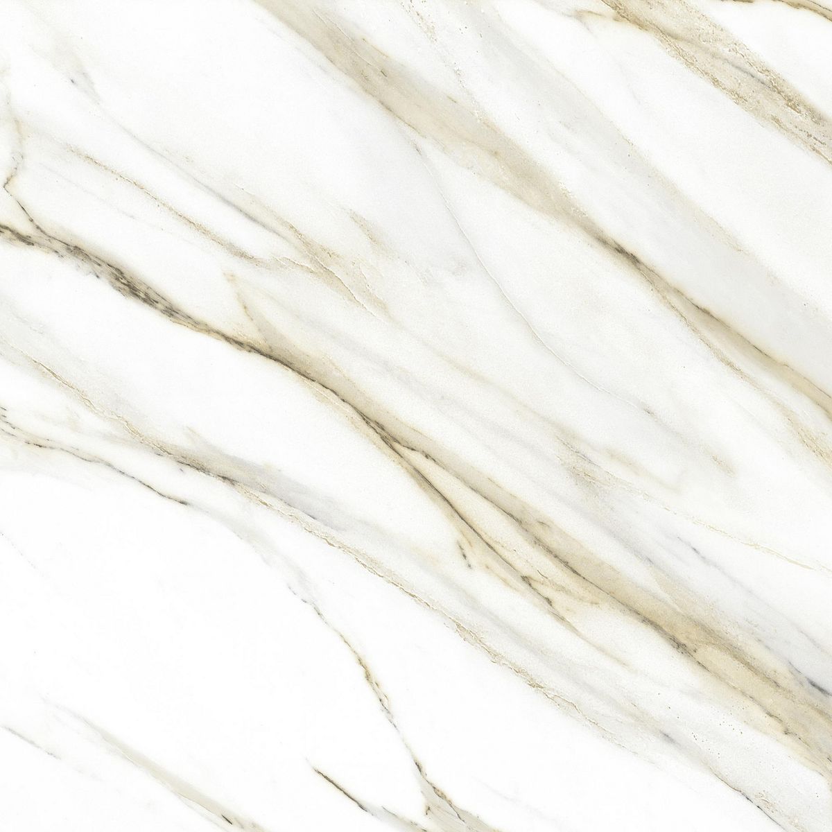 CELIMA - Porcelanato Marmoladas Calacatta Blanco 60x60cm 1.44m2