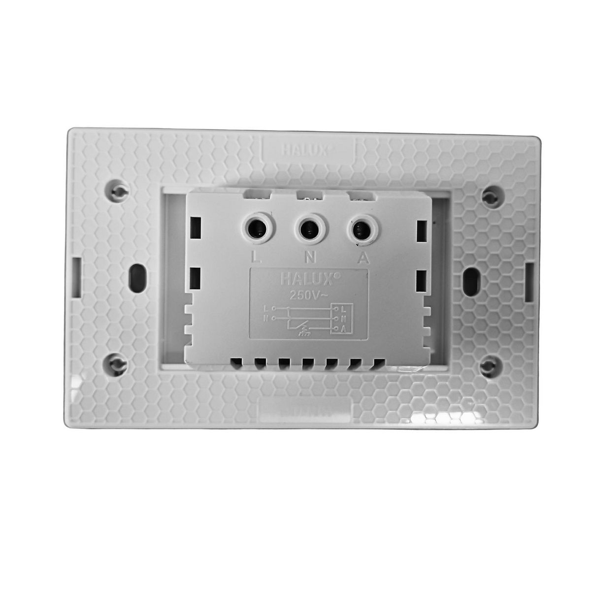 HALUX - Zumbador Blanco Ebanz.