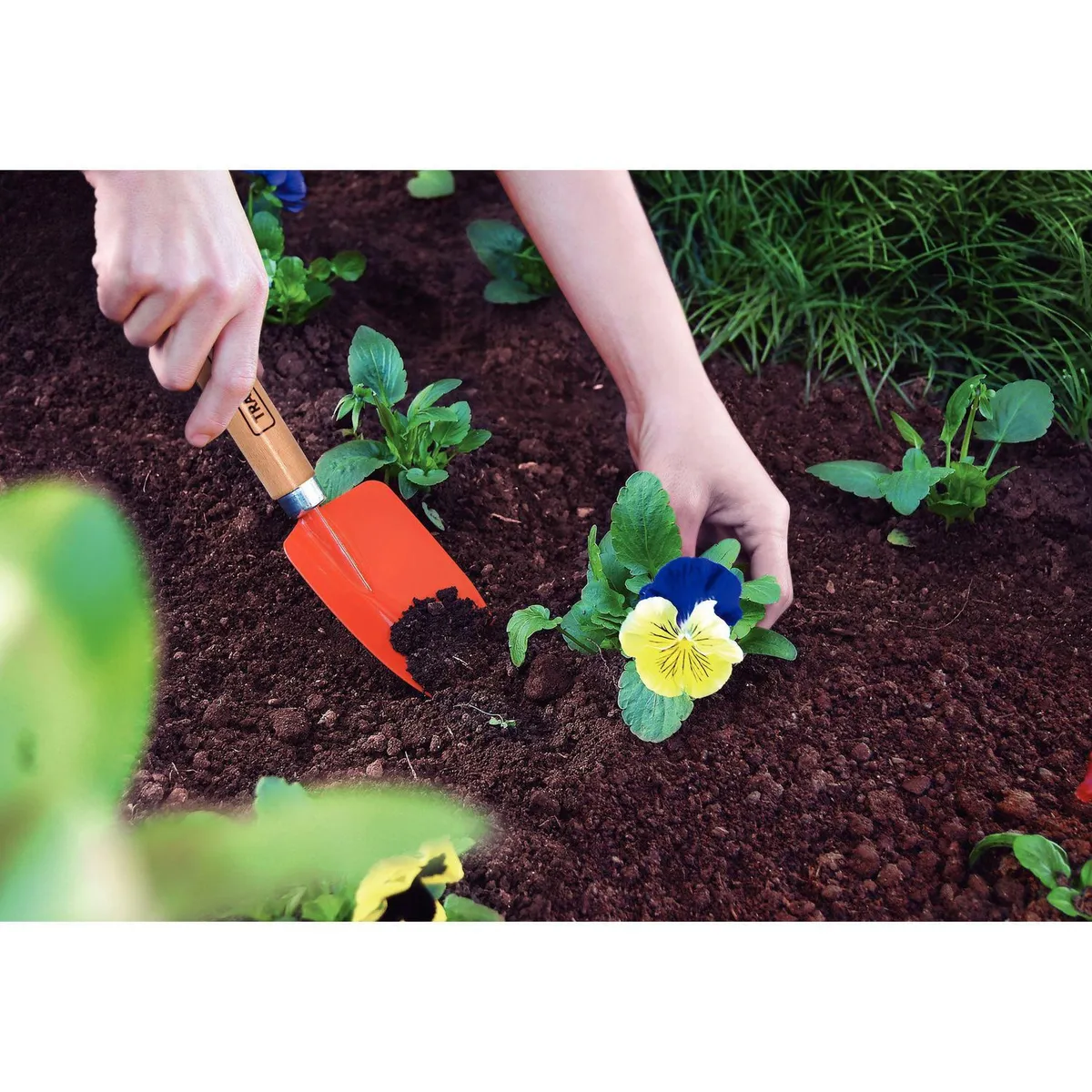 TRAMONTINA - Palita Angosta Acero Naranja con Mango de Madera 5.8x6.4cm