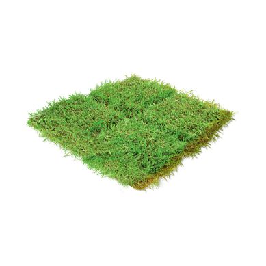 Grass Americano XMT2
