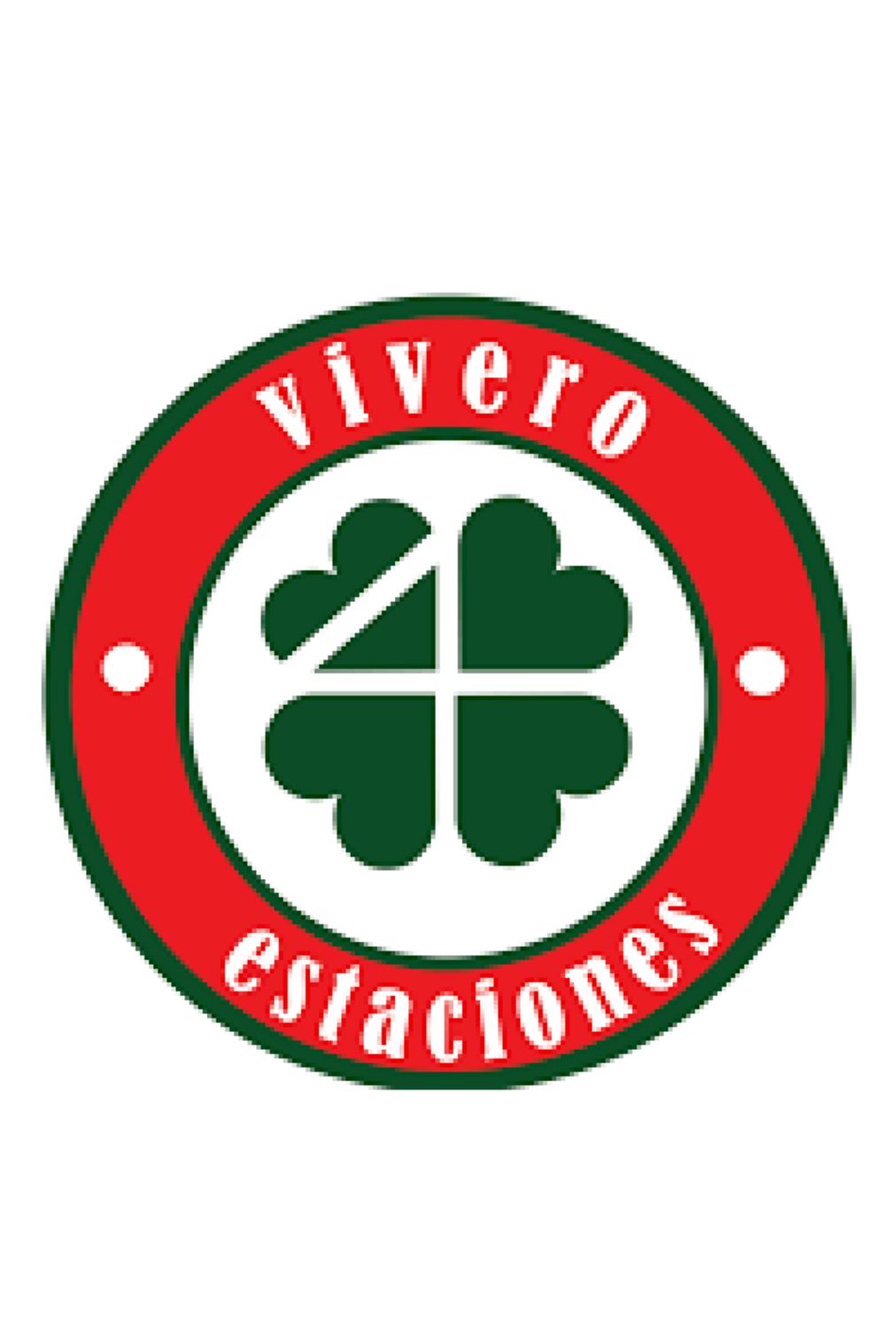 4 ESTACIONES - Planta Aromática Huacatay