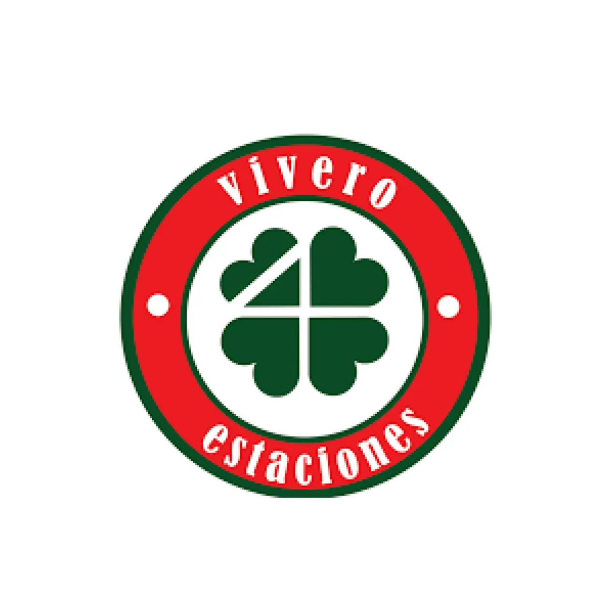 4 ESTACIONES - Planta Aromática Huacatay