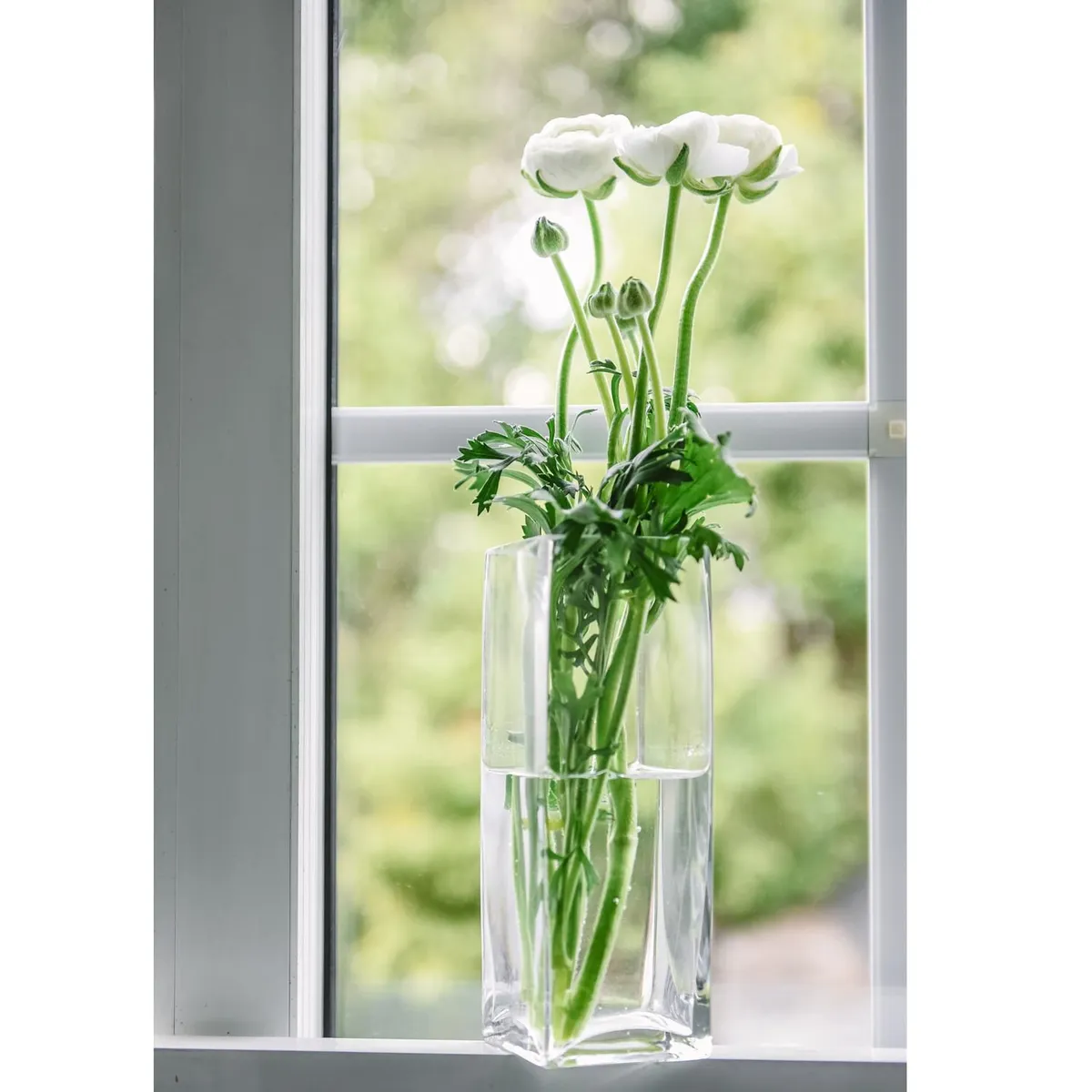 JUST HOME COLLECTION - Florero Rectangular Alto Vidrio Transparente 7x20cm