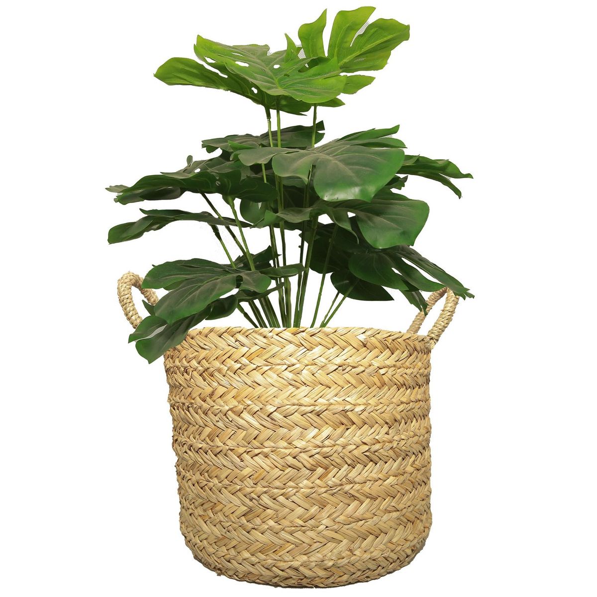 JUST HOME COLLECTION - Canasto Quilca de Hierba Marina 36x25cm