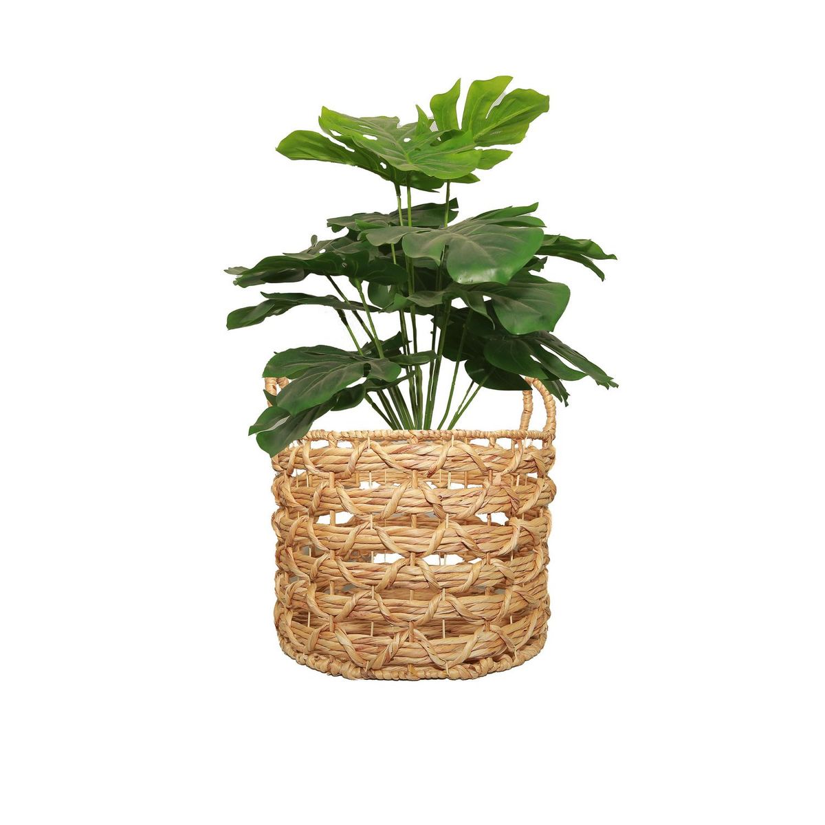 JUST HOME COLLECTION - Canasto Tanaca de Jacinto de Agua 42x31cm