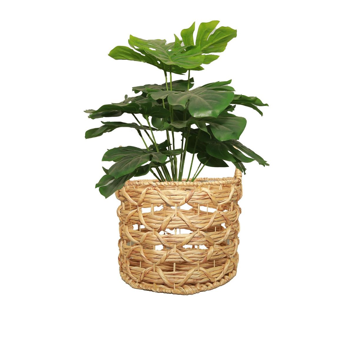 JUST HOME COLLECTION - Canasto Tanaca de Jacinto de agua 38x28 cm