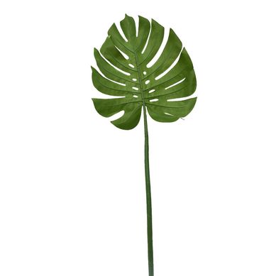 Vara Hoja Filodendro 107cm