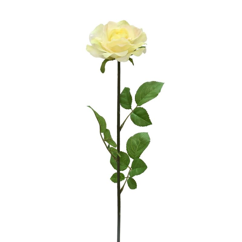 JUST HOME COLLECTION - Vara Rosa Blanco 74cm