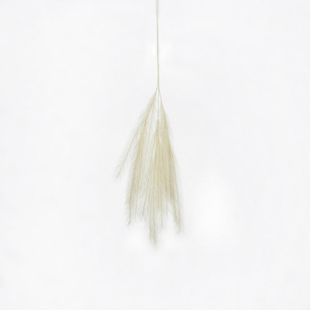 JUST HOME COLLECTION - Vara Cola De Zorro 120 Cm