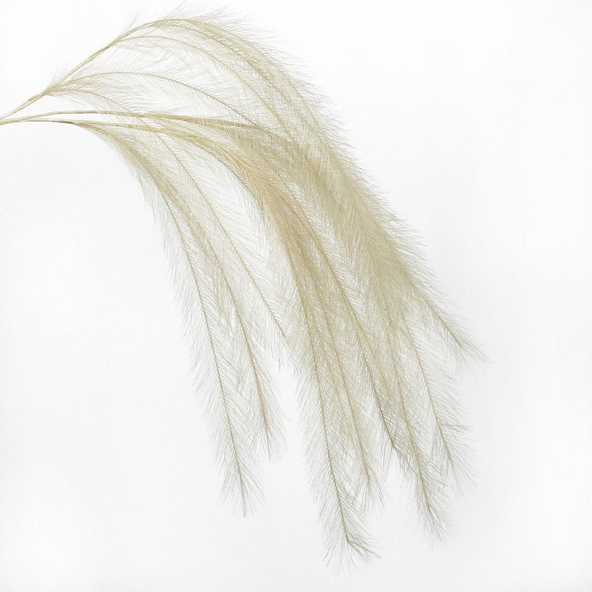 JUST HOME COLLECTION - Vara Cola De Zorro 120 Cm